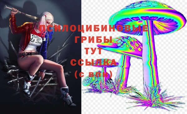 героин Инсар